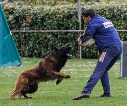 IMG 4797