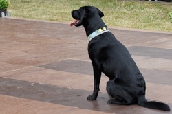 Jette mit Sitz aus der Entfernung