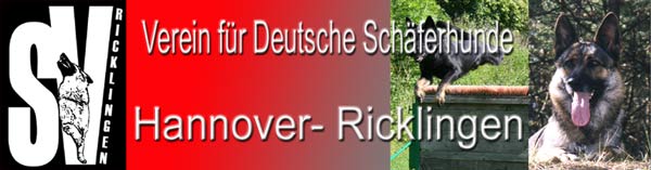 SV Hannover Ricklingen